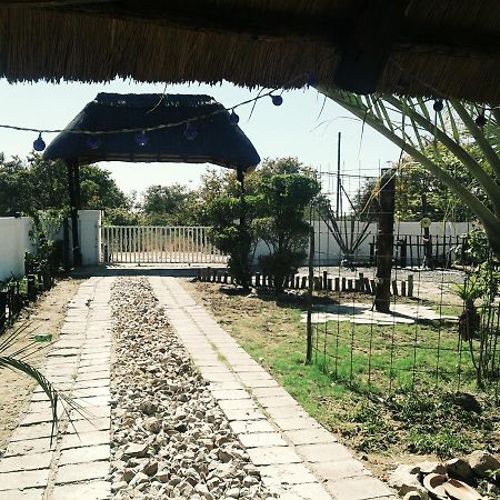 Road View Lodge Francistown Exteriör bild