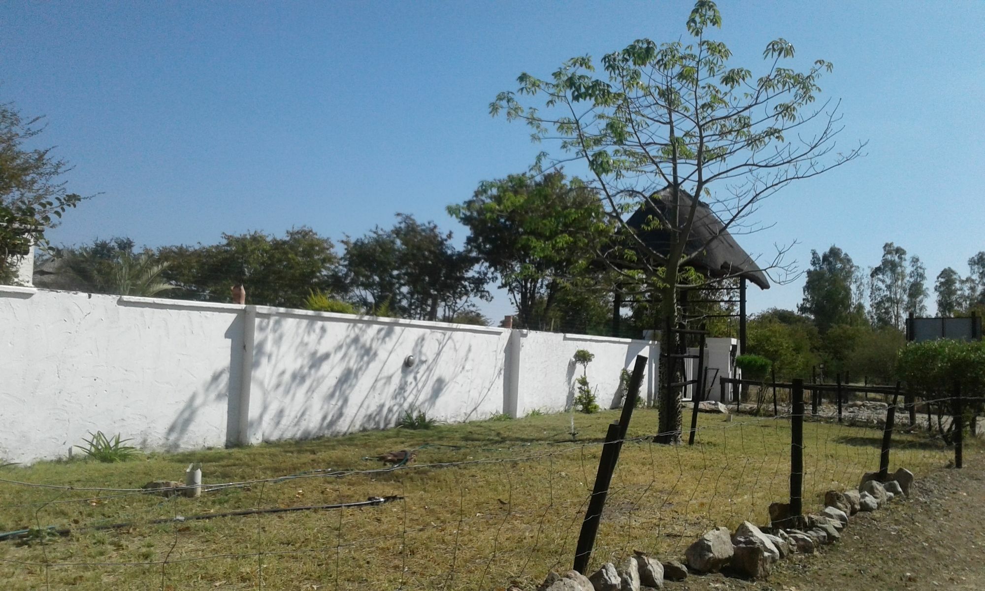 Road View Lodge Francistown Exteriör bild